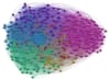 Organisations & Networks